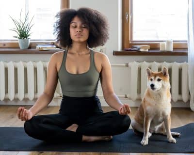 meditate-ca meditate-ca